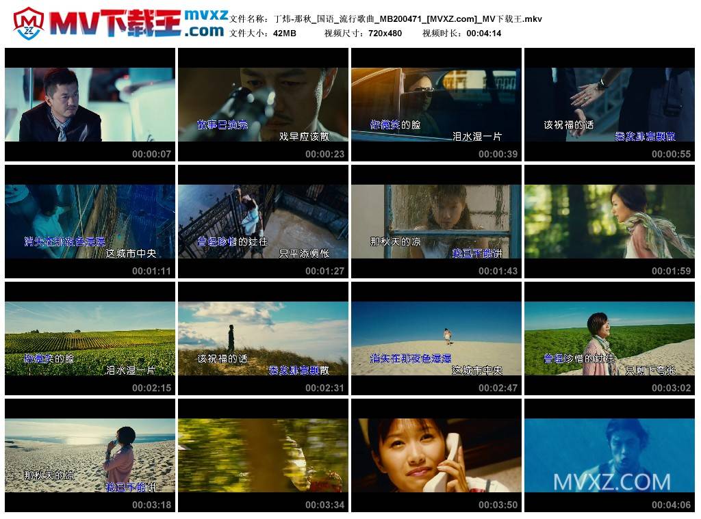 丁炜-那秋_国语_流行歌曲_MB200471